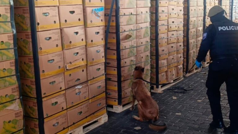 Autoridades ecuatorianas inspeccionan cargamentos en el Puerto Marítimo de Guayaquil como parte de los operativos contra el tráfico internacional de drogas.