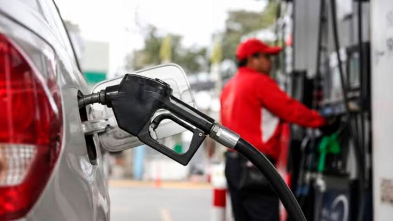 Julio Brache, presidente de la AIRD, advirtió que el encarecimiento de los combustibles, las resinas plásticas y los fertilizantes está elevando los costos de las empresas dominicanas.
