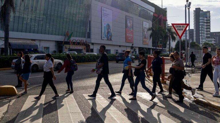 Los trabajadores dominicanos de entre 31 y 55 años registraron un salario promedio cotizable de RD$44,235.50 en junio de 2026, según la Tesorería de la Seguridad Social.